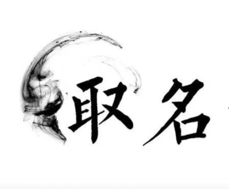  点军宝宝取名 大师一对一人工起名